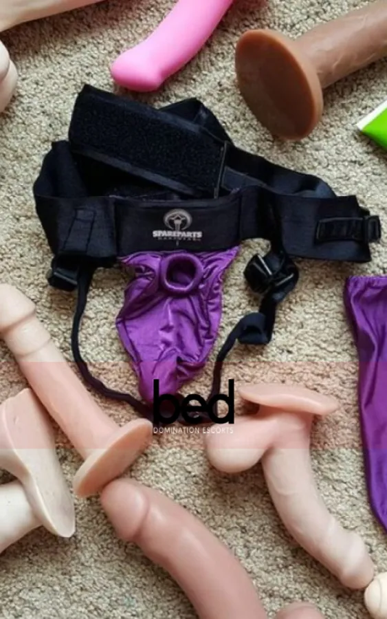 Image for The Best Strapon Dildos For Guys Who Love To Get Pegged